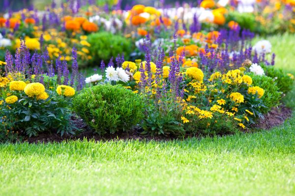 Flower Bed Maintenance in Niagara Falls