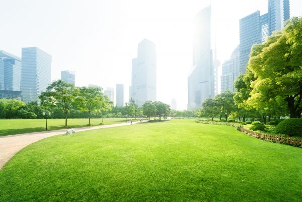 Commercial Landscape Maintenance in Niagara Falls