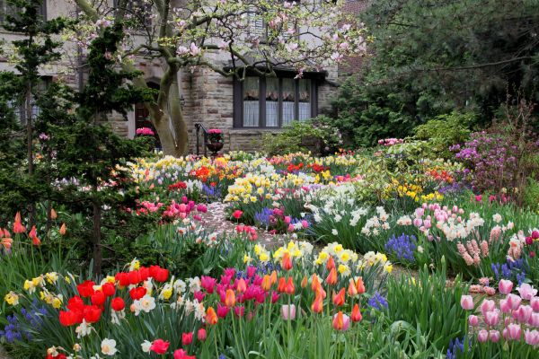 Garden Maintenance Service in Niagara Falls