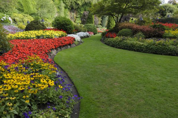 Landscaping Maintenance in Niagara Falls