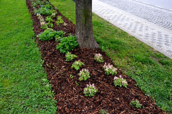 Mulch Replacement Service in Niagara Falls