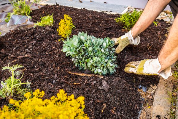 Weeding And Mulching in Niagara Falls