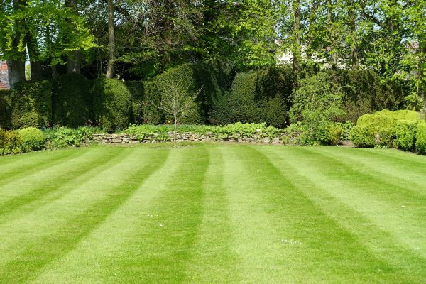 Lawn Renovation in Niagara Falls