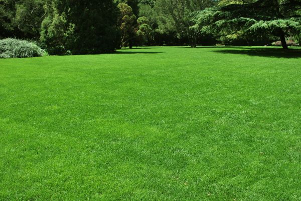 Lawn Landscaping in Niagara Falls