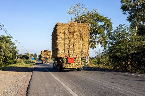 Pine Straw Delivery in Niagara Falls