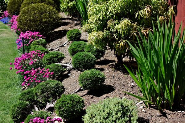 Residential Gardening in Niagara Falls