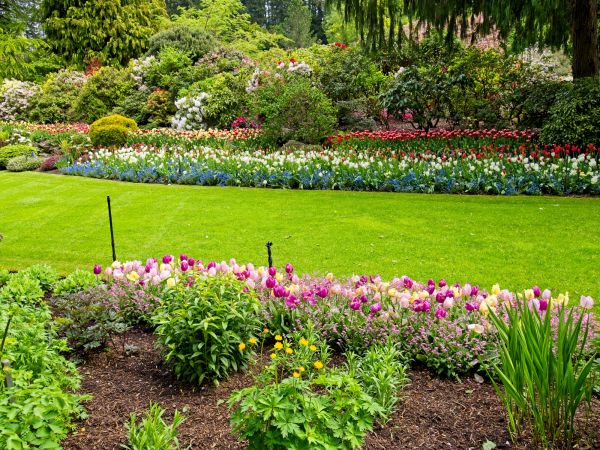 Residential Landscape Design in Niagara Falls