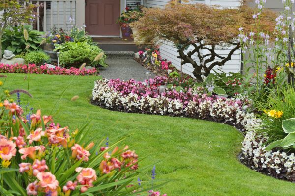Perennial Landscaping in Niagara Falls