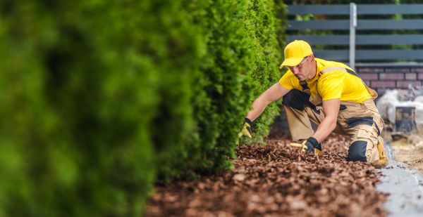 Cypress Mulch Installation in Niagara Falls