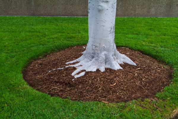 Brown Mulch Installation in Niagara Falls