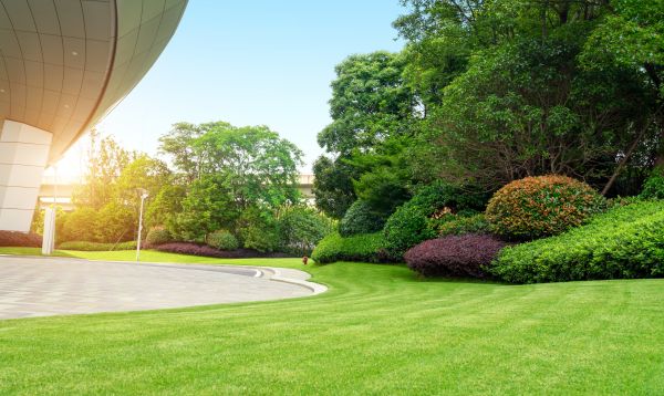 Business Landscape Design in Niagara Falls