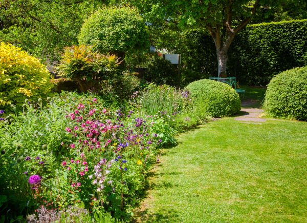 Yard Landscaping Service in Niagara Falls