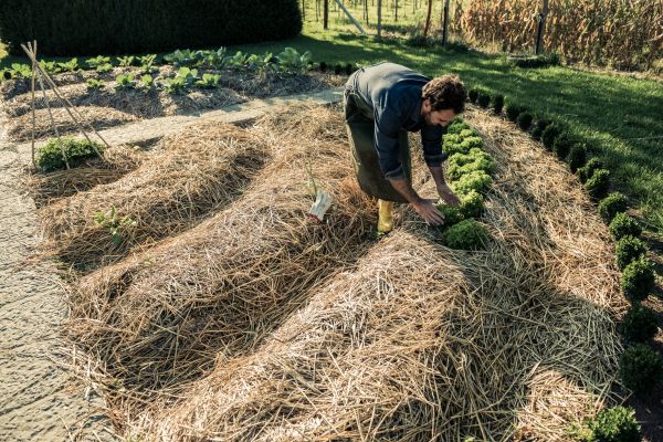 Straw Mulching Service in Niagara Falls