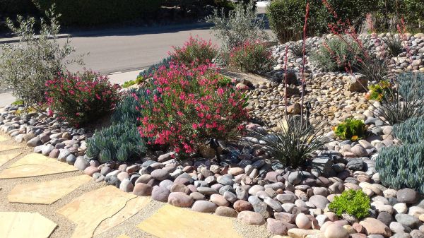 Xeriscape Landscaping in Niagara Falls