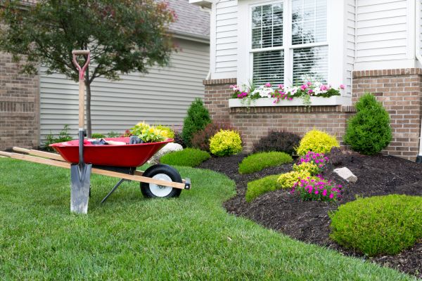 Tree And Shrub Planting in Niagara Falls