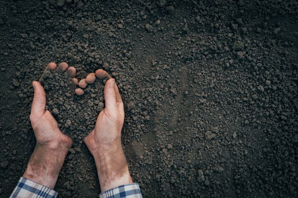 Soil Installation in Niagara Falls