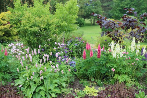 Flower Bed Planting in Niagara Falls