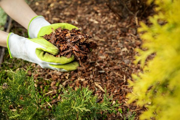 Garden Mulch Delivery in Niagara Falls