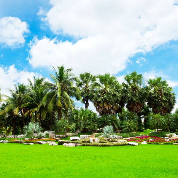 Tropical Landscaping in Niagara Falls