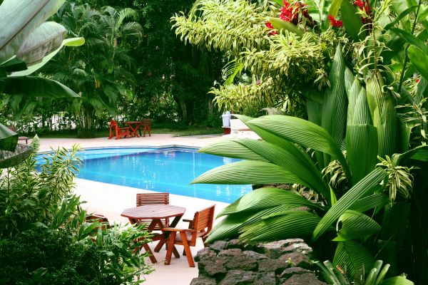 Tropical Garden Landscaping in Niagara Falls