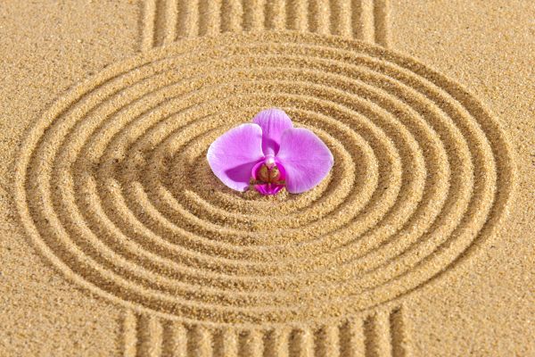 Sand Garden Landscaping in Niagara Falls