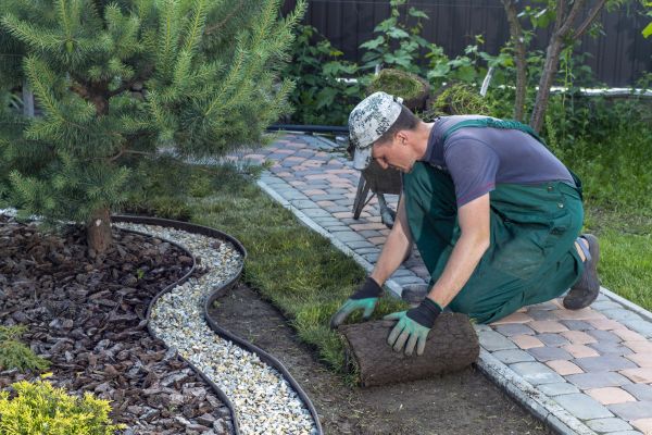 Landscaping Modification in Niagara Falls