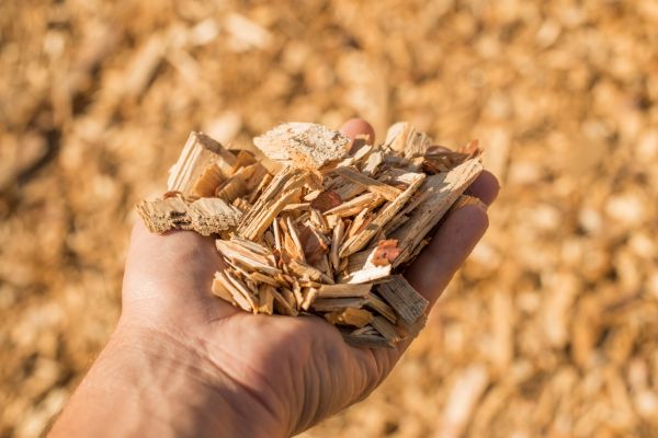 Wood Chips Spreading in Niagara Falls