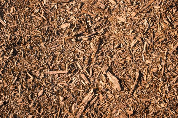 Wood Chips Removal in Niagara Falls