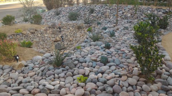 Yard Xeriscaping in Niagara Falls