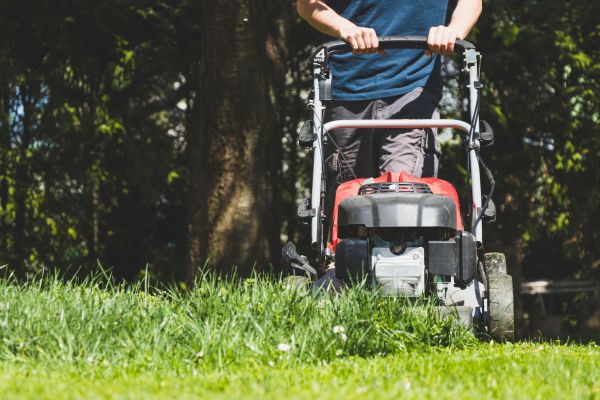 Garden Trimming Service in Niagara Falls