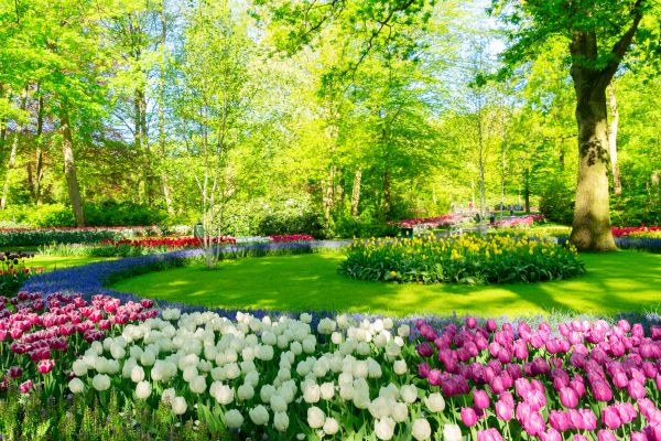 Flower Landscaping in Niagara Falls