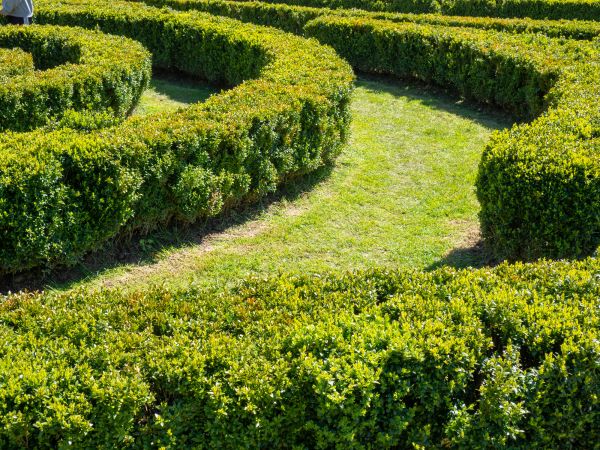Bush Landscaping in Niagara Falls