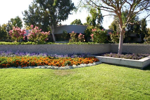 Commercial Landscape Service in Niagara Falls