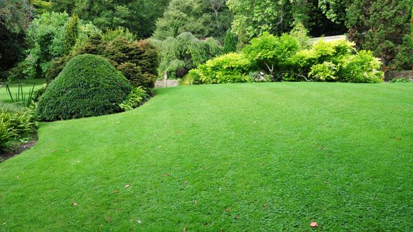 Commercial Landscape Design in Niagara Falls