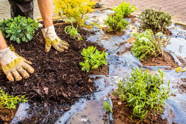 Mulch Fabric Installation in Niagara Falls