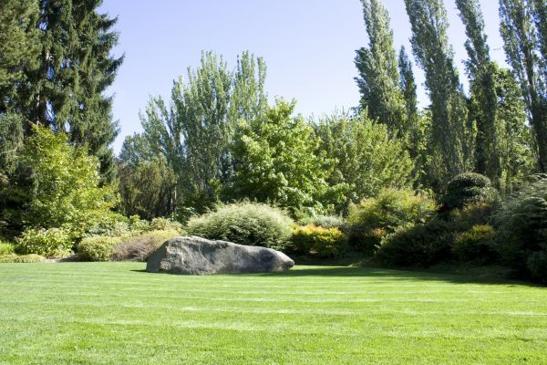 Yard Enlargement in Niagara Falls