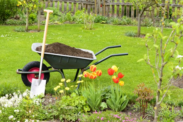 Spring Yard Renovation in Niagara Falls