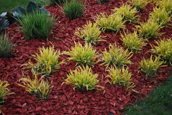 Red Mulch Installation in Niagara Falls