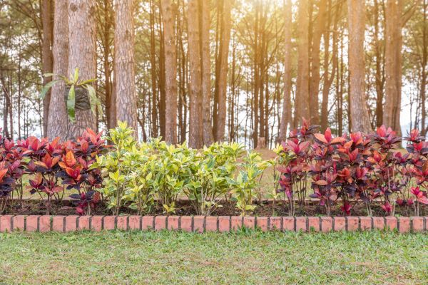 Small Garden Landscaping in Niagara Falls
