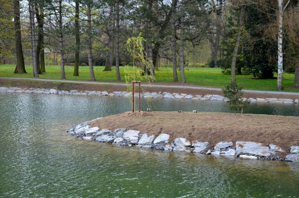 Pond Landscaping Service in Niagara Falls
