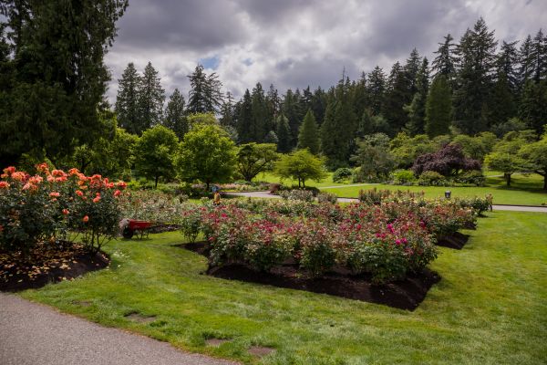 Flower Garden Landscaping in Niagara Falls