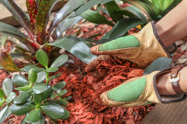 Residential Mulching in Niagara Falls