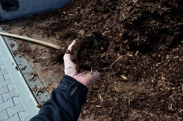 Condo Mulching in Niagara Falls