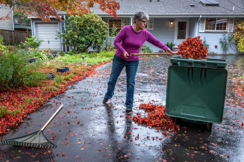 Clean Driveway and Walkway