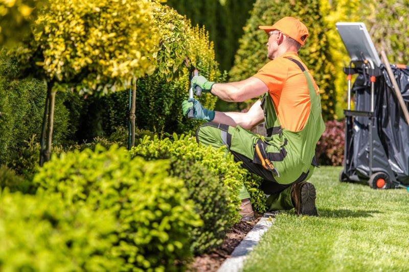 Yard Landscaping Service detail
